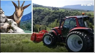 Test du tracteur Lindner Lintrac 90 : L'agilité d’un chamois, la polyvalence d’un vrai tracteur