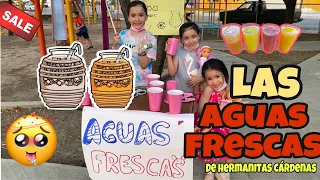 LAS AGUAS FRESCAS DE LAS HERMANITAS CARDENAS