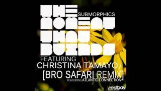 Submorphics (ft. Christina Tamayo) - The Moment that Builds