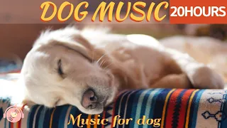 20 HOURS of Deep Sleep Dog Music & Separation anxiety🐶💖Dog Relaxation Music🎵stressed dog🐶healingmate