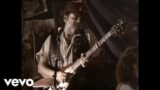 Lonnie Mack - Too Rock For Country, Too Country For Rock And Roll