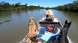 PIG HUNTING with DOGS from our TINY BOAT!