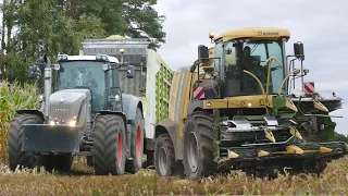 Kukurydza 2021 z FenDzikami! VIXA! Ur Zawistowscy & KosaTV [3xFendt, Kubota, Krone] Boguc AgroTV