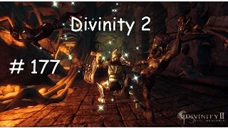 Let's Play Divinity 2 Ego Draconis #177 [Deutsch] - Möchtest du Samen ???