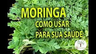 MORINGA IN YOUR HOME, HOW TO USE FOR YOUR HEALTH, Planting at Home