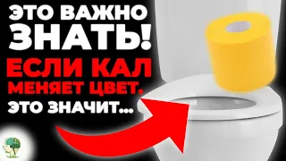 НЕ СТЫДНО ГОВОРИТЬ! Цвет СТУЛА и Форма вам подскажет что не так с Организмом...