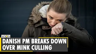 Danish Prime Minister Mette Frederiksen breaks down over mink culling | COVID-19| WION News