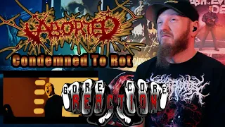 Reaction | Aborted - Condemned To Rot