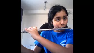 River flows in you *flute cover*