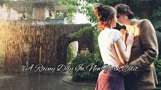 A Rainy Day In NewYork Edit|Timothee Chalamet,Selena Gomez