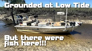 Grounded at Low Tide, But Fish were HERE!!!