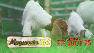 Goat Farming (Episode 25)