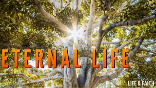 🙏🏼Bible study about Eternal Life - (Audio bible)🌟