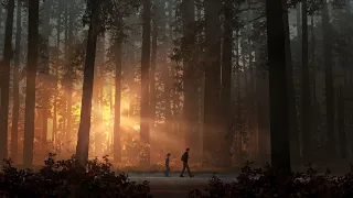 Life is Strange 2 | Into The Woods - Jonathan Morali