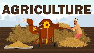 Agriculture | Harvesting | Threshing | Winnowing | Farmer Animation