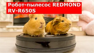 Робот-пылесос REDMOND RV-R650S