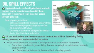 AP Environmental Science 8.2 (pt. 2) - Oil Spills