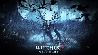 20 Mikolai Stroinski -  The Witcher 3: Wild Hunt - Fate Calls