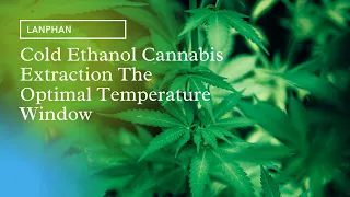 Cold Ethanol Cannabis Extraction The Optimal Temperature Window