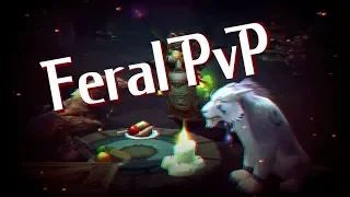 Feral PvP WoW 3.3.5a v2 :D