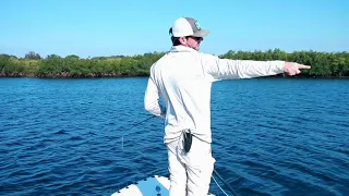 Saltwater Fly Fishing Tips for the Flats - Back Cast Technique Pt. 3