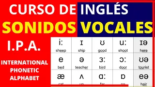 🗽EXPERTO enseña la PRONUNCIACION correcta | IPA Alfabeto Fonético Internacional