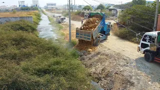 First Starting New Project! 50M X 100M Land filling Into the water By Bulldozer And Dump Truck Small