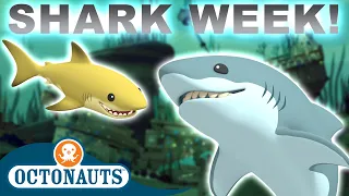 ​@Octonauts - Awesome Sharks 🦈 | 70 Mins+ Shark Week Special! | Underwater Sea Education