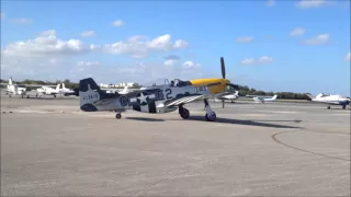 P 51 Lou IV