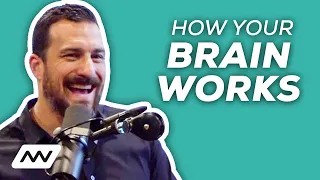 How Your Brain Works | #85 Dr. Andrew Huberman | Human Optimization Hour with Kyle Kingsbury