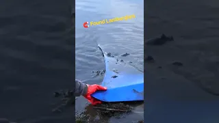 Found Lamborghini Underwater While Magnet Fshing!