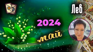 Лев Таро Май 2024