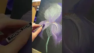 Iris pastel art 💜
