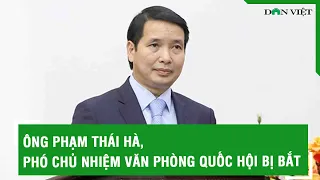 Ông Phạm Thái Hà, Phó Chủ nhiệm Văn phòng Quốc hội, Trợ lý Chủ tịch Quốc hội bị bắt