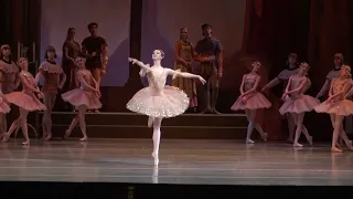 Maria Ilyushkina & corps  (Mariinsky Ballet)  Raymonda "Pink" scene and variation.