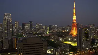 One day of Tokyo Tower in 7 minutes・8K HDR Timelapse