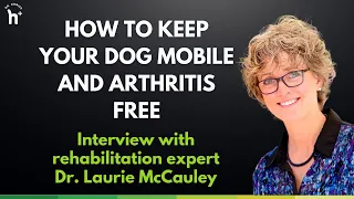 EXPERT GUIDE: How to Keep Your Dog Mobile and Arthritis Free