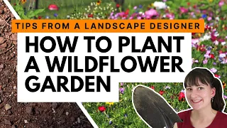 How to start a wildflower garden 💐 Advice from a landscape designer