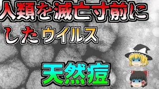 【ゆっくり解説】人類を滅亡寸前まで追い込んだ最強ウイルス　天然痘とは！？