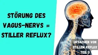 Störung des Vagus Nervs = Stiller Reflux?