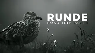 Road Trip to Runde Bird Island | Bird Photography | BioFoto Part 1/2