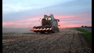 Claas Tucano 440 Corn Harvest/Kukorica aratás 2022