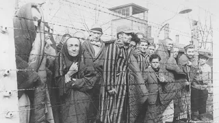 Lo que NADIE TE CONTÓ de los Campos de Concentración nazis: Auschwitz, Dachau y Treblinka