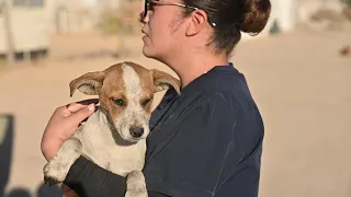 The Thanksgiving EightEmergency Rescue from a Mexican Landfill