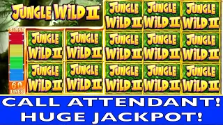 ★★JACKPOT HANDPAY★★$150 BETS★★JUNGLE WILD 2 HIGH LIMIT SLOT MACHINE BUENO DINERO MUSEUM SLOTS WMS