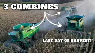 THREE John Deere Combines Harvesting Corn