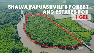 Shalva Papuashvili's Forest and Estates for 1 GEL - Special Report