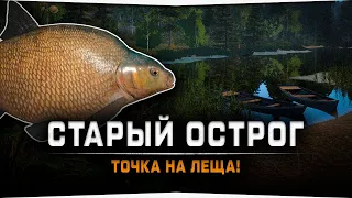 Точка на Леща на озере Старый Острог — Русская Рыбалка 4