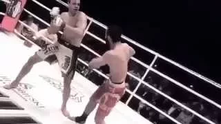 Чеченцы в UFC---KSW