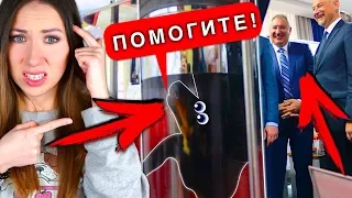 СОБАКА ТАКСА И РОГОЗИН Эксперимент над собакой | Elli Di Pets